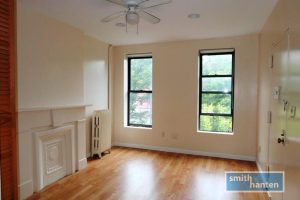 Bright Two BR Apartment on Baltic Street in Boerum Hill